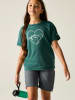 Regatta Funktionsshirt "Aria" in Grün