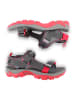 Regatta Sandalen ''Blaze'' in Grau/ Pink