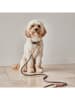 OYOY living design Hondenriem "Perry" beige - (L)160 cm