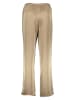 Noisy may Hose in Beige