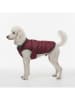 Petisimmo Hundejacke in Bordeaux