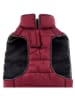 Petisimmo Hundejacke in Bordeaux