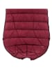 Petisimmo Hundejacke in Bordeaux