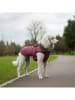 Petisimmo Hundejacke in Bordeaux