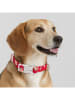 Petisimmo Hondenhalsband rood