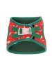 Petisimmo Hondentuig rood/groen