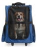 Petisimmo Transportrucksack in Blau - (B)35 x (H)49 x (T)27 cm