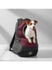 Petisimmo Transportrugzak paars/zwart - (B)40 x (H)43 x (D)17,5 cm