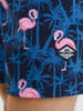 Jack & Jones Zwemshorts "Maui" blauw/lichtroze