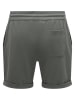 ONLY & SONS Shorts "Onsnewkodyl" in Grün