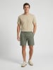 Cars Jeans Shorts in Khaki