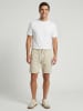 Cars Jeans Shorts in Beige