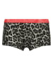 Vingino 5-delige set: boxershorts meerkleurig