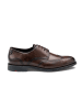 LLOYD Leder-Schnürschuhe in Braun