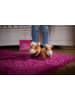 NICI Slipper "Haflinger Leotie" in Hellbraun