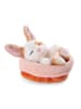 NICI Knuffeldier met mandje "Bunny" - vanaf de geboorte
