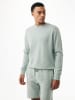 Mexx Sweatshirt "Eiger" in Grün