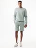 Mexx Sweatshirt "Eiger" in Grün