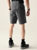 Dare 2b Trekkingshorts "Tuned In Pro II" grijs