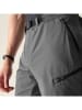 Dare 2b Trekkingshorts "Tuned In Pro II" in Grau