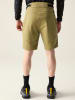 Dare 2b Trekkingshorts "Tuned In Pro II" in Khaki