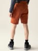 Dare 2b Trekkingshorts "Tuned In Pro II" in Terrakotta