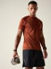 Dare 2b Functioneel shirt "Accelerate" in Terrakotta