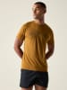 Dare 2b Funktionsshirt "Tech II" in Camel