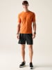 Dare 2b Trekkingshorts "Ultimate II" in Schwarz
