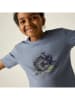 Dare 2b Shirt "Trailblazer IIi" in Blaugrau