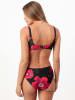 admas Bikini-Oberteil in Schwarz/ Pink
