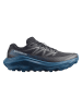 SALOMON Hardloopschoenen "ULTRA FLOW 2" zwart/blauw