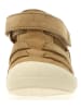 Naturino Leren enkelsandalen "Bede" lichtbruin