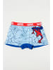 Spiderman 2er-Set: Boxershorts "Spiderman" in Blau/ Rot