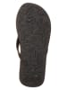 Quiksilver Zehentrenner "Molokai" in Schwarz