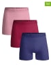 Muchachomalo 3er-Set: Boxershorts in Blau/ Rot/ Rosa