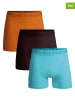 Muchachomalo 3-delige set: boxershorts lichtblauw/bruin/oranje