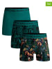 Muchachomalo 3er-Set: Boxershorts in Bunt/ Grün