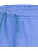 Converse Sweatshorts in Hellblau