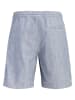 Jack & Jones Short "Jaiden" lichtblauw
