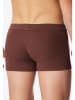 Schiesser Boxershorts in Braun