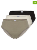 Schiesser 3er-Set: Slips in Khaki/ Creme/ Schwarz