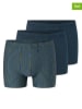 Schiesser 3er-Set: Boxershorts in Dunkelblau