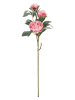 Bizzotto Kunsttak ''Peony Evalyn'' groen/lichtroze - (L)90 cm