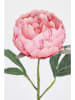 Bizzotto Kunsttak ''Peony Evalyn'' groen/lichtroze - (L)52 cm