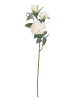 Bizzotto Sztuczna gałązka ''Peony Evalyn'' w kolorze zielono-białym - dł. 90 cm
