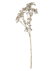 Bizzotto Kunsttak ''Loryn'' wit/groen - (L)61 cm