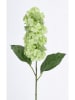 Bizzotto Kunsttak ''Hydrangea Holga'' groen - (L)64 cm