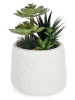 Bizzotto Kunstplant ''Daysi Ro'' groen/wit - (H)24 x Ø 15,5 cm