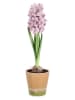 Bizzotto Kunstplant ''Hyacinth'' groen/lichtroze - (L)52 cm